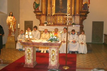 Orgeljubilum 2011