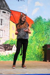 MiniShow 2011