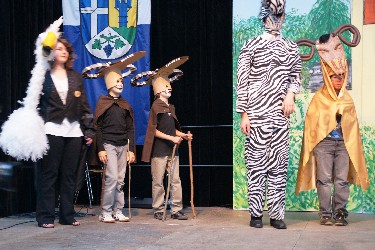 MiniShow 2011
