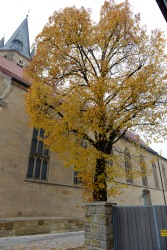 Allerheiligen 2015