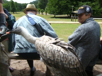 Ausflug der Behinderten 2008
