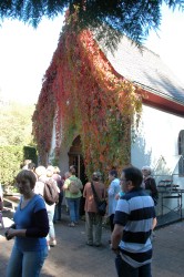 Mitarbeiterausflug 2011