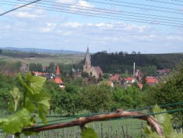 Blick auf Rauenberg