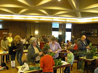 Palmsteckenbinden 2010