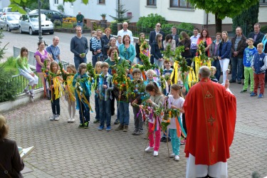 Palmsonntag 2014