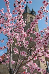 Kirchencafé