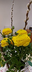 Kirchencafe