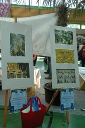 Leistungsschau 2012