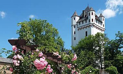 Jahresausflug 2010